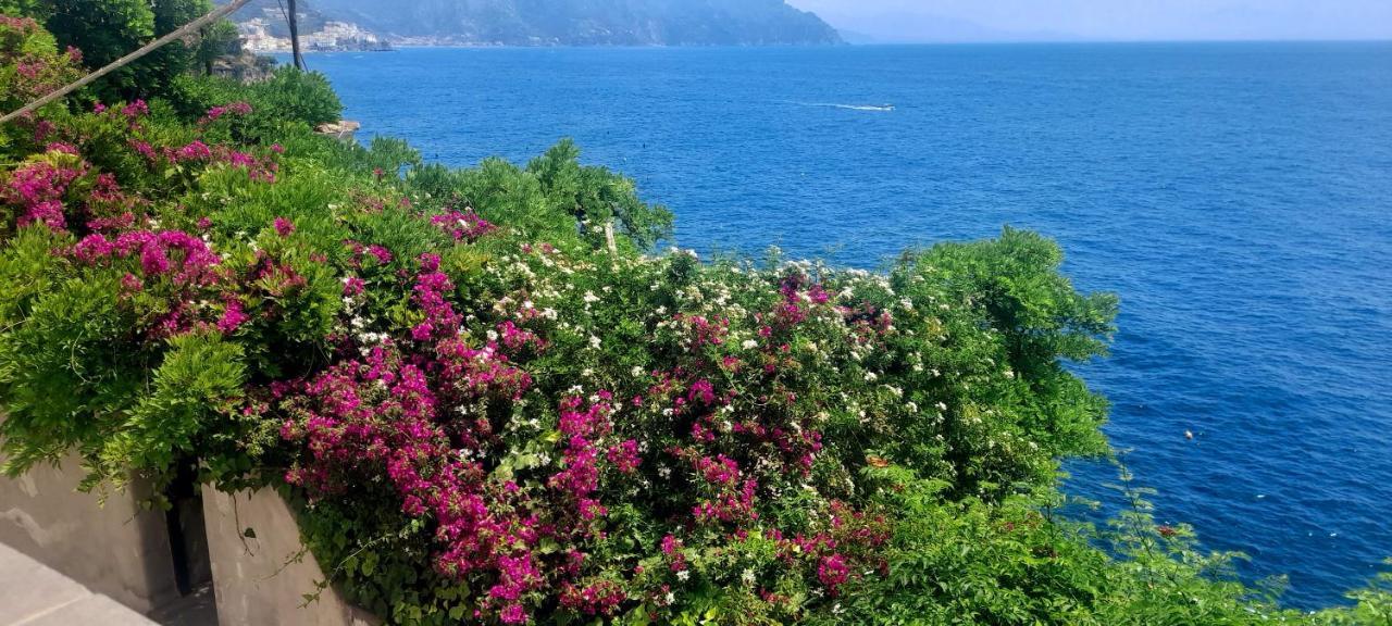 Villa Gianna Amalfi Coast Конка-дей-Марини Экстерьер фото