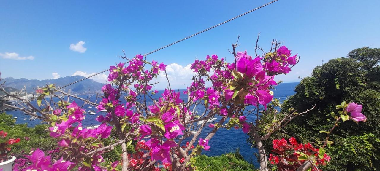 Villa Gianna Amalfi Coast Конка-дей-Марини Экстерьер фото
