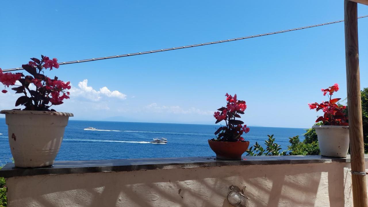 Villa Gianna Amalfi Coast Конка-дей-Марини Экстерьер фото